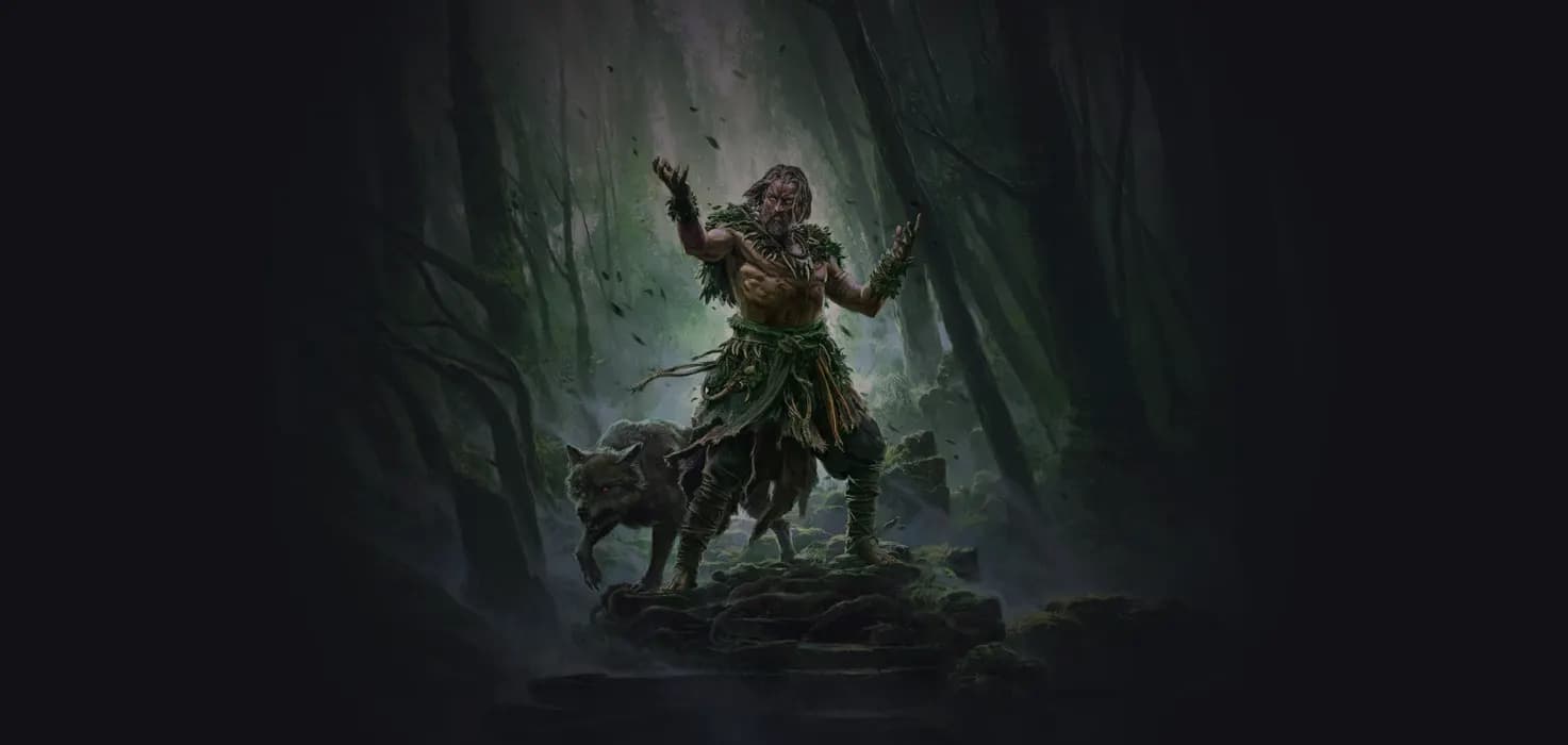 Oil Barrage Druid Leveling Build image