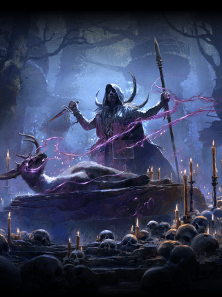 Bleed & Poison Ritualist Leveling Build image