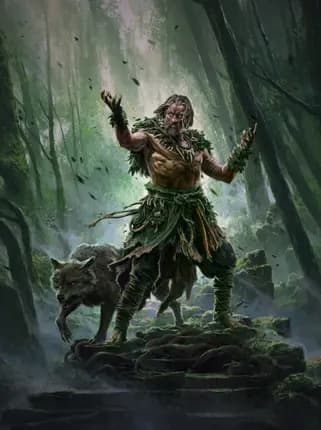 Wyvern Druid Leveling Build image