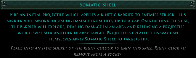 Somatic Shell Somatic Shell