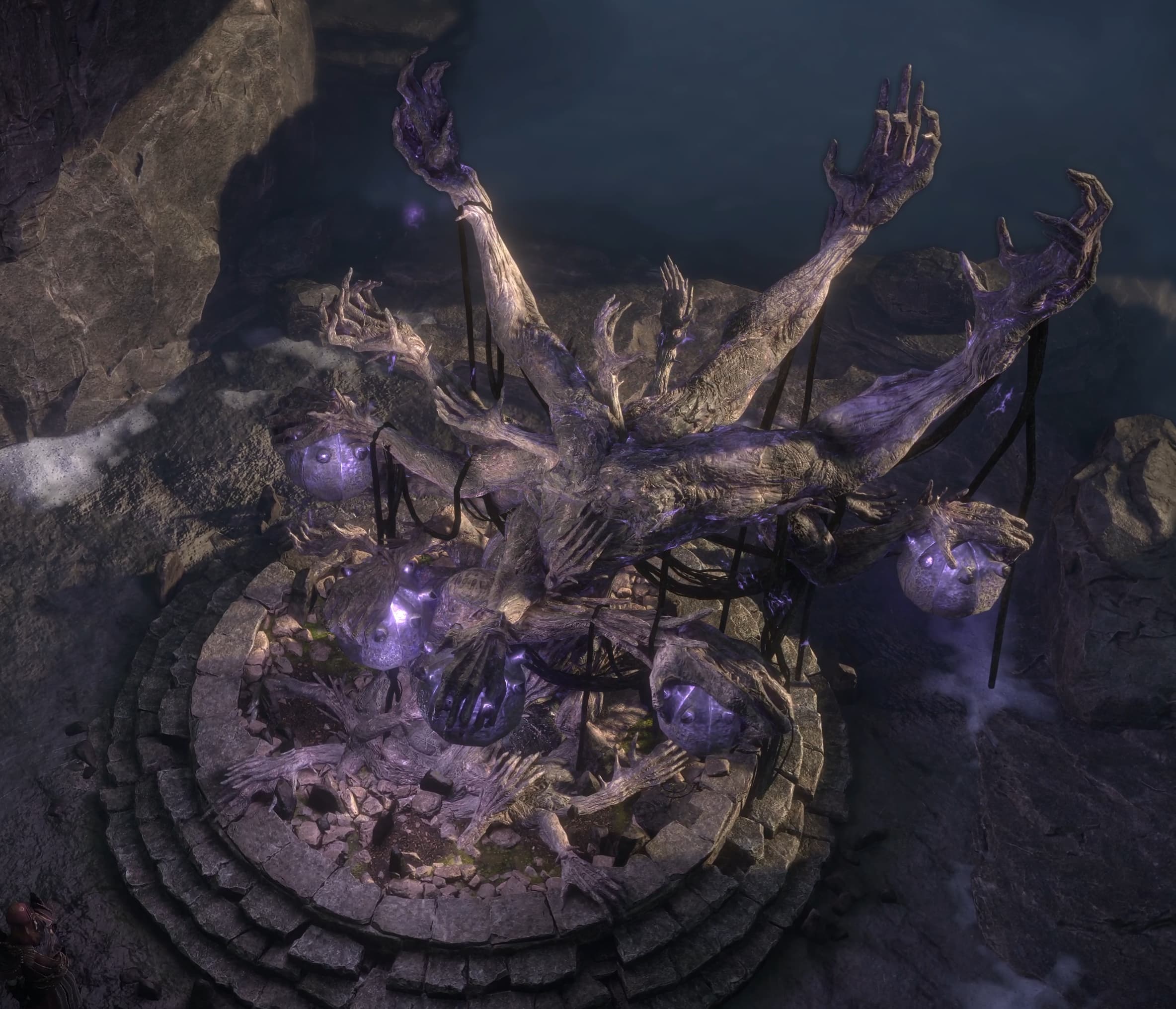 Genesis Tree Genesis Tree