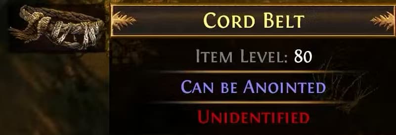 Cord Belt Tooltip Cord Belt Tooltip